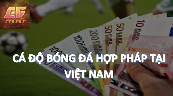 Cfun68 Cá độ bóng đá thế nào là hợp lệ tại Việt Nam